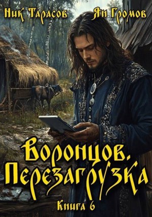 Воронцов. Перезагрузка. Книга 6