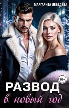 Развод в новый год