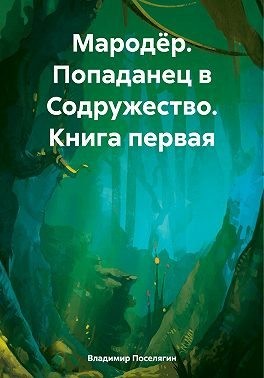 Мародёр. Попаданец в Содружество