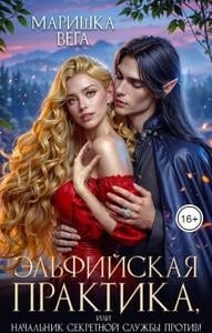 Эльфийская практика, или Начальник секретной службы против!