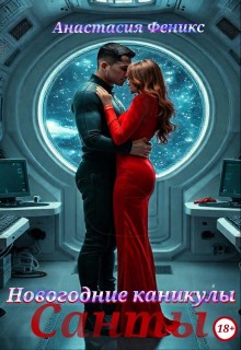 Новогодние каникулы Санты