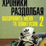 Хроники раздолбая