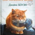 Уличный кот по имени Боб