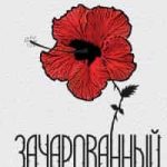 Зачарованный
