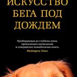 Искусство бега под дождем читать онлайн