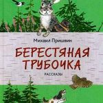 Берестяная трубочка читать онлайн