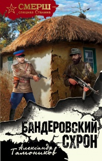Бандеровский схрон читать онлайн
