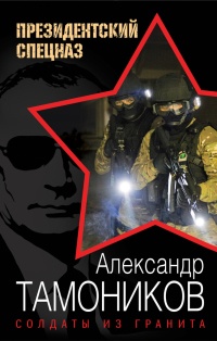 Солдаты из гранита читать онлайн