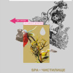 SPA-чистилище читать онлайн