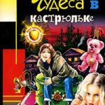 Чудеса в кастрюльке читать онлайн
