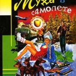 Муха в самолете читать онлайн