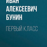 Первый класс читать онлайн