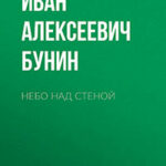 Небо над стеной читать онлайн