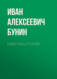 Небо над стеной читать онлайн