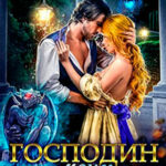 Господин моих ночей (СИ) читать онлайн