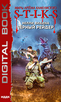 Миры Артёма Каменистого. S-T-I-K-S. Чёрный рейдер читать онлайн