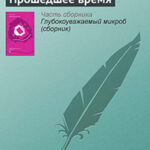 Прошедшее время читать онлайн