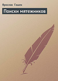 Поиски мятежников читать онлайн