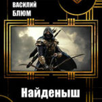 Найденыш (СИ) читать онлайн