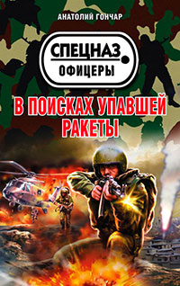 В поисках упавшей ракеты читать онлайн