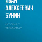 История с чемоданом читать онлайн