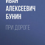 При дороге читать онлайн
