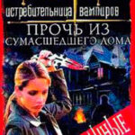 Привратник: 1. Прочь из сумасшедшего дома читать онлайн