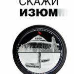 Скажи изюм читать онлайн