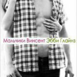 Мальчики Винсент читать онлайн