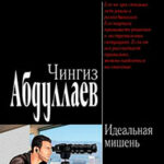 Идеальная мишень читать онлайн