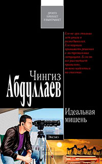 Идеальная мишень читать онлайн