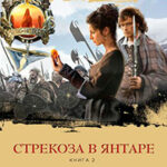 Стрекоза в янтаре. Книга 2. Время сражений читать онлайн