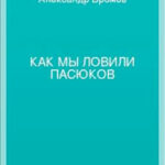 Как мы ловили пасюков читать онлайн