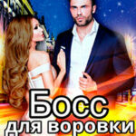 Босс для воровки читать онлайн