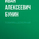 Товарищ дозорный читать онлайн