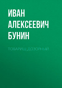 Товарищ дозорный читать онлайн