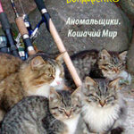 Кошачий Мир читать онлайн
