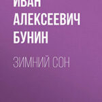 Зимний сон читать онлайн