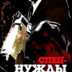 Спецнужды и спецслужбы читать онлайн