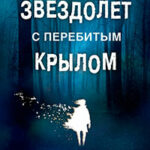 Звездолет с перебитым крылом читать онлайн