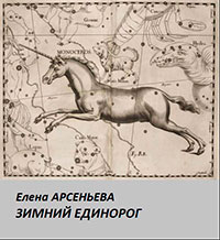 Зимний единорог читать онлайн