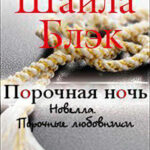 Порочная ночь (ЛП) читать онлайн