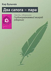 Два сапога – пара читать онлайн