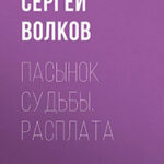 Пасынок судьбы. Расплата читать онлайн