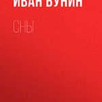 Сны Чанга читать онлайн