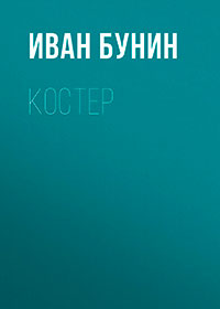 Костер читать онлайн