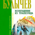 Штурм Дюльбера читать онлайн