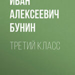 Третий класс читать онлайн