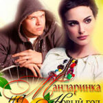Мандаринка на Новый Год (СИ) читать онлайн