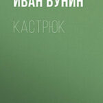 Кастрюк читать онлайн